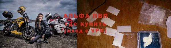 мяу мяу мука Арсеньев