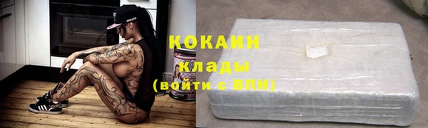 мяу мяу мука Арсеньев