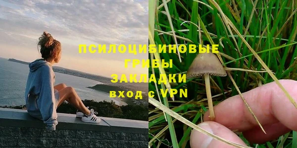 шишки Белоозёрский