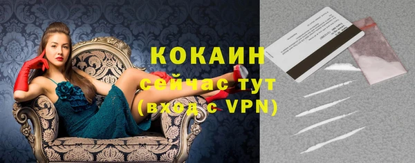 спиды Семёнов