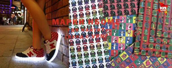 шишки Белоозёрский