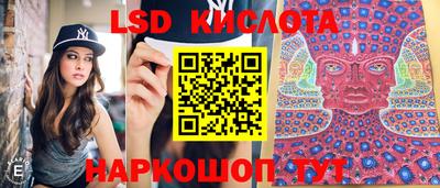 ешки Будённовск