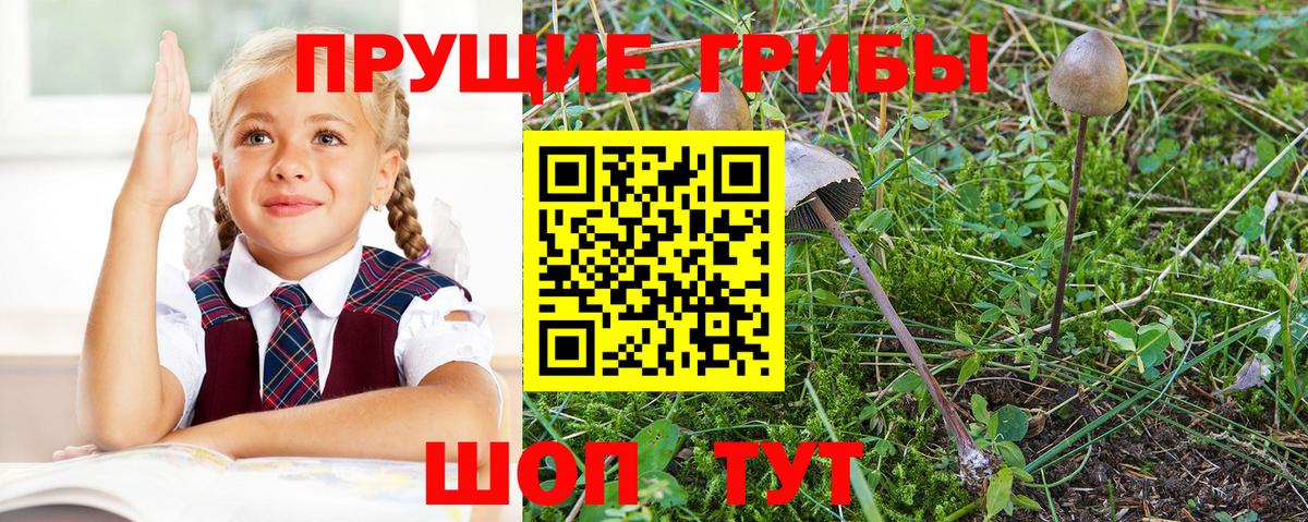 Амфетамин кристаллы  Краснознаменск  Вход с VPN  МЕФ   ГАШ  Марихуана  Меф МЯУ МЯУ 