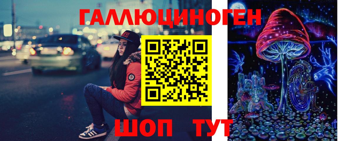 Галлюциногенные грибы Psilocybine cubensis  Краснознаменск 