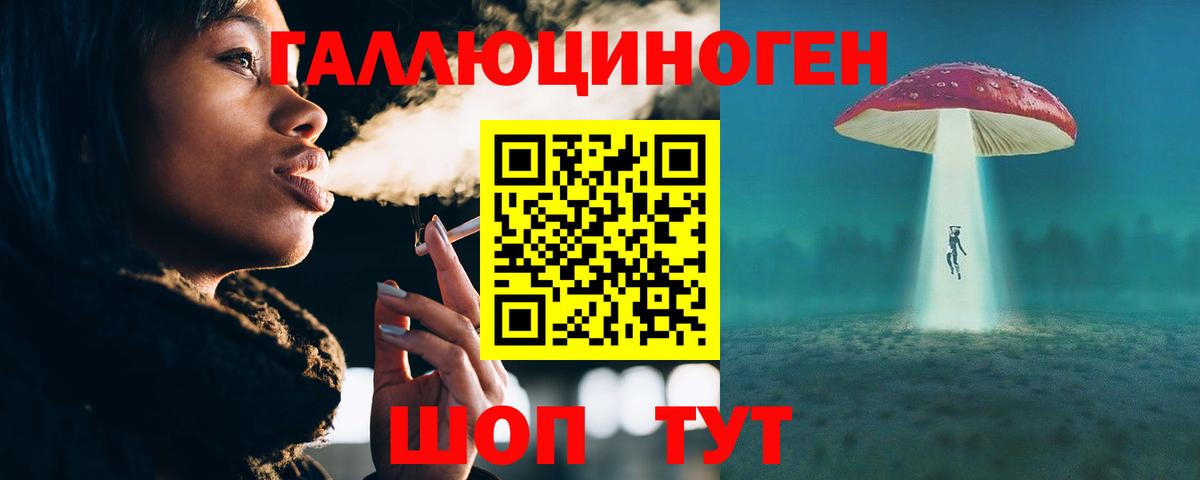 A PVP Краснознаменск